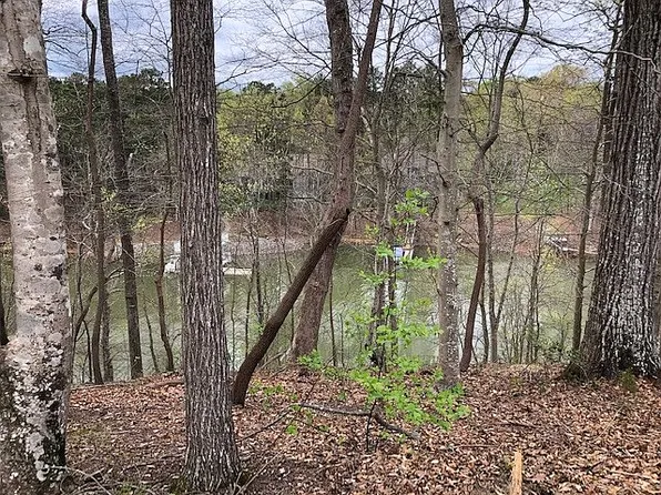 8118 Summit Ridge Dr, Catawba, NC 28609