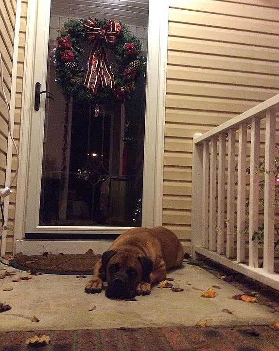 Snowy front door entry. 
