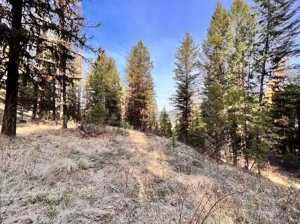 Sugar Loaf Rd, Curlew, WA 99118