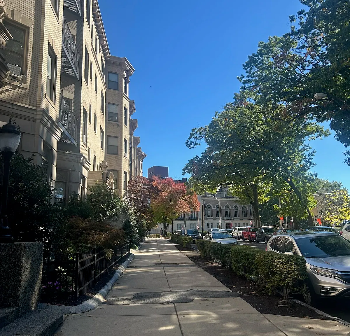 2 bed, 650 sqft, $2,975 — Photo 2