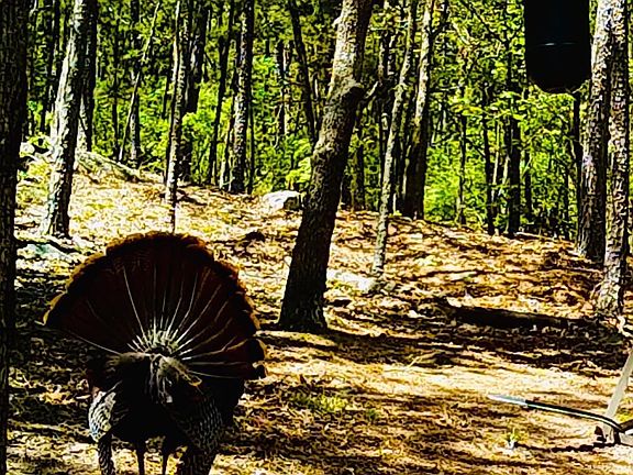 4th image of Buck Creek Rd