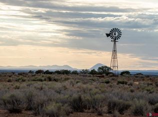 TBD County Road 131, Hesperus, CO 81326
