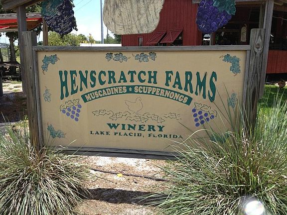 Winery in Lake Placid