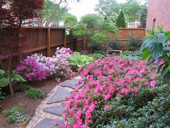 Beautiful Backyard Garden