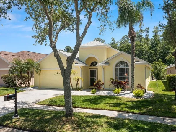 12113 Bishopsford Dr, Tampa, FL 33626