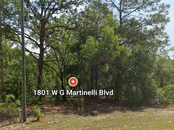 1801 W G MARTINELLI BLVD LOT 10, CITRUS SPRINGS, FL 34434