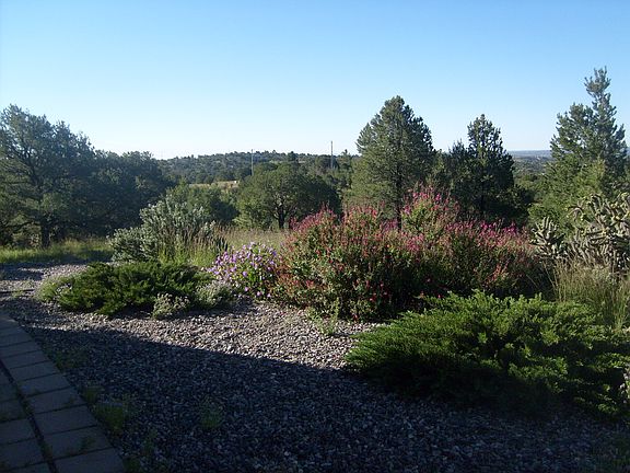 View from back porch