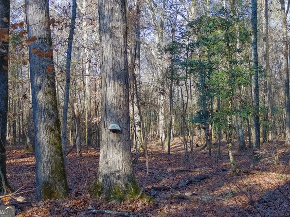 557 Limestone Rd, Cochran, GA 31014