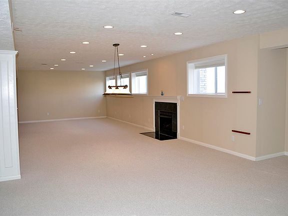 Basement with Fireplace