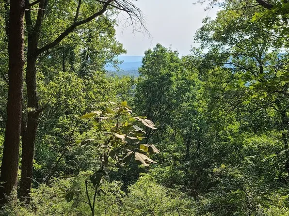 0 Indian Camp Ck Rd Lot 24, Altamont, TN 37301