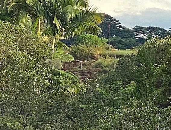 3rd image of 0 Kaiwiki Homestead Road #Lot 16-b
