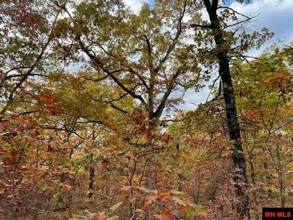 500 Sycamore Springs Rd, Mountain Home, AR 72653