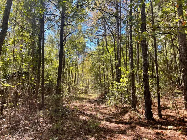 0 County Road 108, Fayette, AL 35555