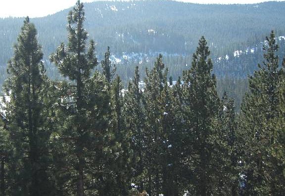 2nd image of 12471 Sierra Dr