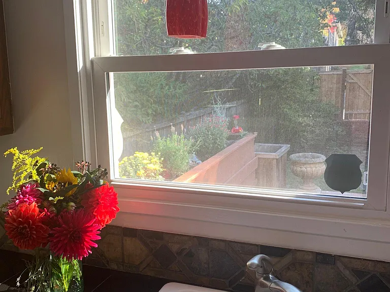 View to backyard and deck
