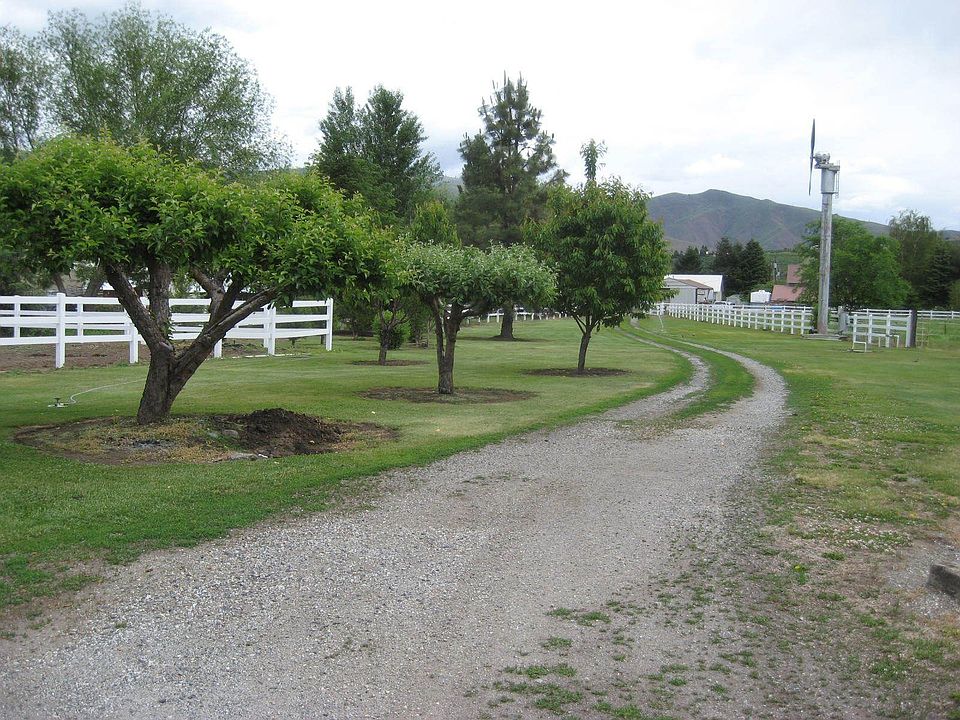 fruit trees