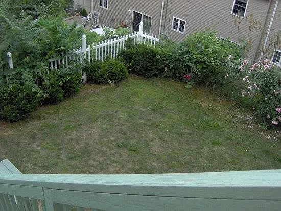 3 bed, 1.5 bath, 1700 sqft, $2,650 — Photo 3