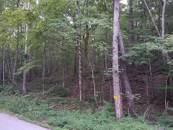 3rd image of 0 McFarlin Ln
