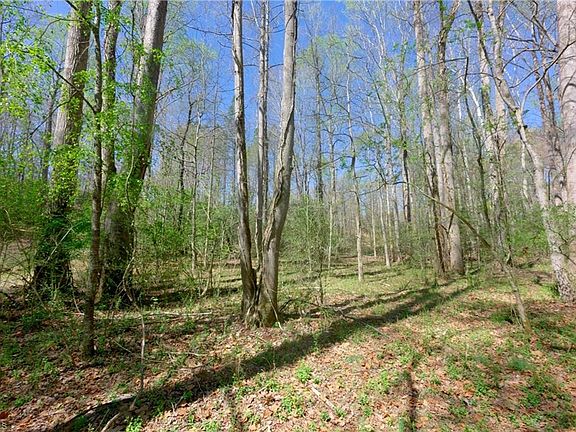 4th image of 4 Alexander Farm Rd Lot 4