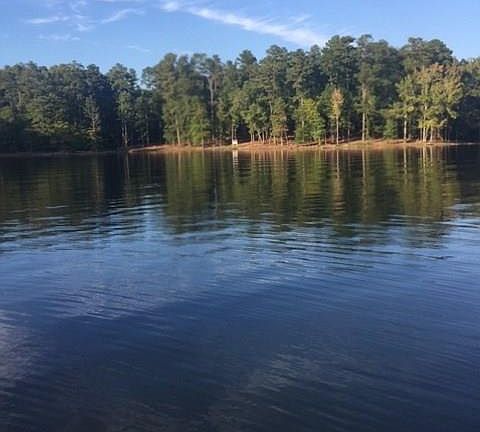 4th image of 3 Newberry Shores Dr