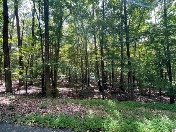 26 Blue Springs Rd, Cadiz, KY 42211