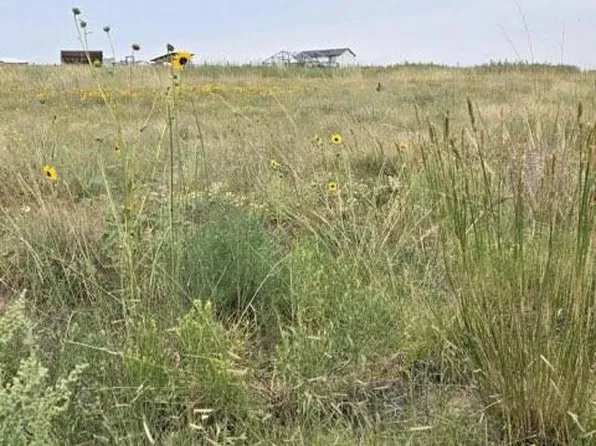 17460 Sage Crest Rd, Peyton, CO 80831