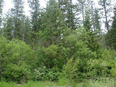 Crumps      June 1 011