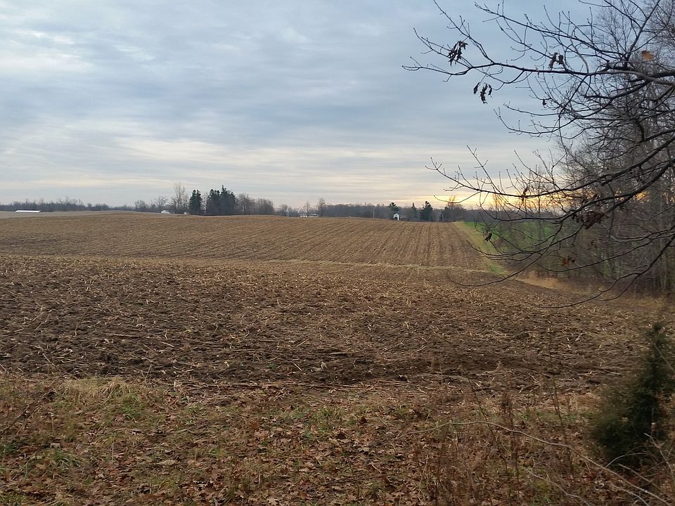 2nd image of 925 Powell Rd