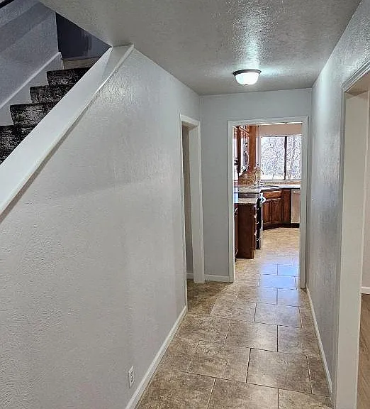 2308 Shady Tree Ln — Photo 2