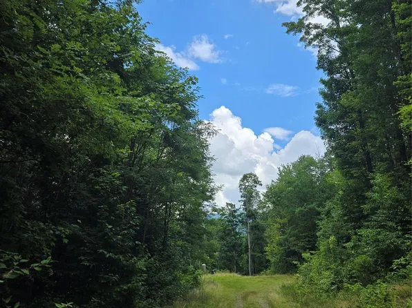 102 Tenderfoot Trl #102 & 103, Maggie Valley, NC 28751