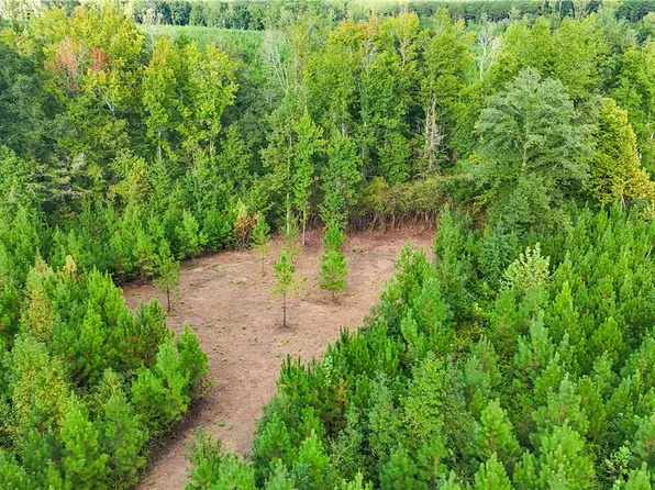 0 County Road 28, Lafayette, AL 36862