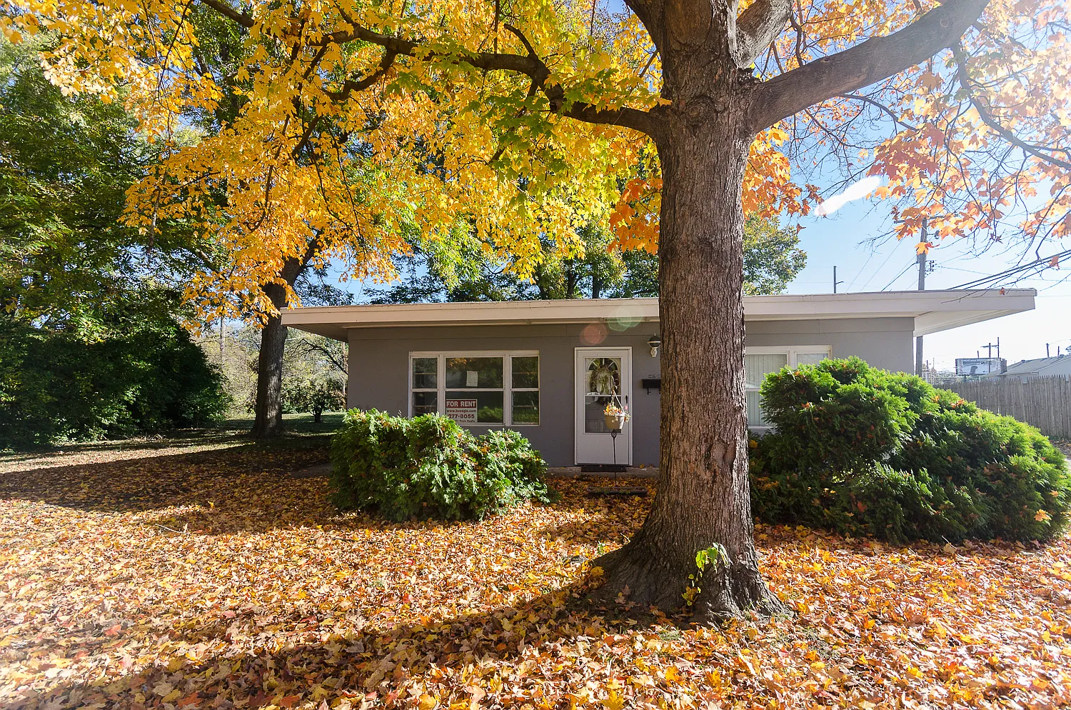2 bed, $850 — Photo 1