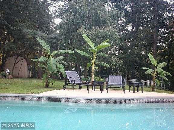 Something to Look Forward to!