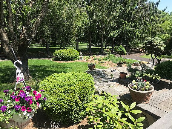 Spring time
