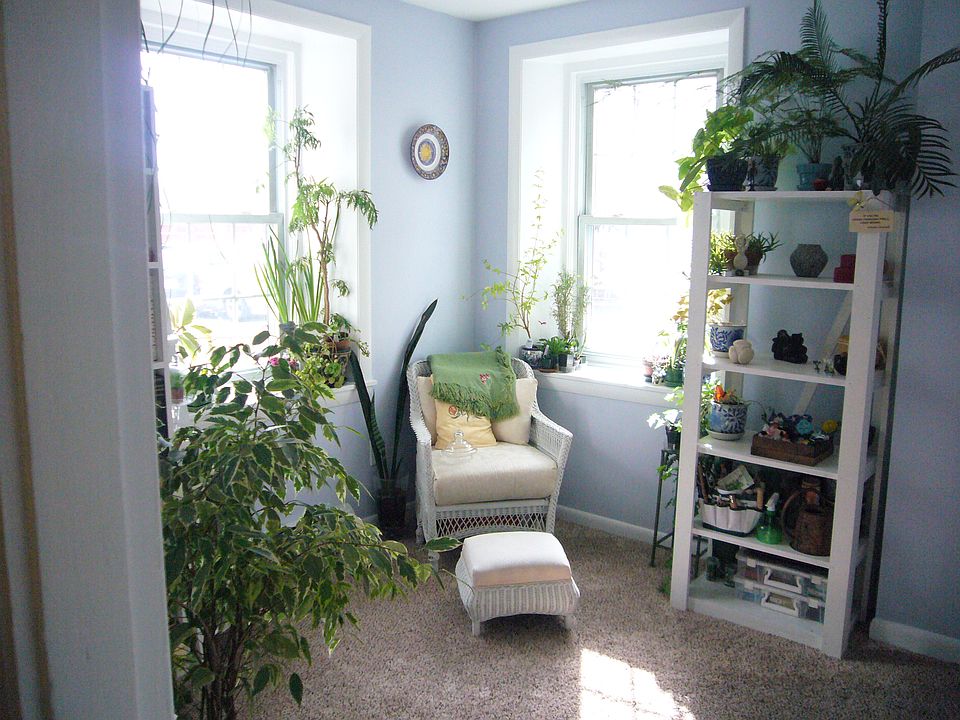 Sunny and new carpet