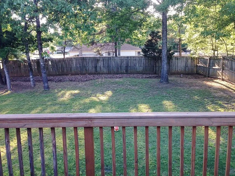 Backyard- 2