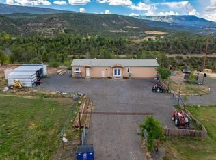 12303-54 7/10 Rd, Collbran, CO 81624