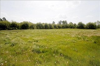 3rd image of 56160 W County Road 365