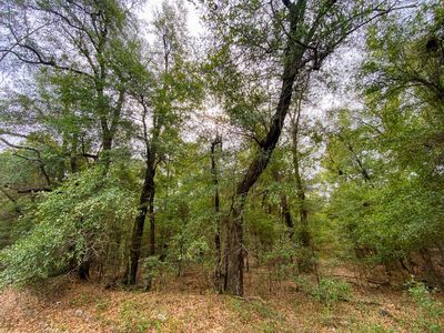 1.97 ACRES RIVER Road, Waynesboro, GA, 30830