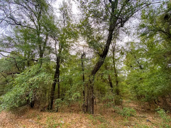 2.22 ACRES RIVER Road, Waynesboro, GA 30830