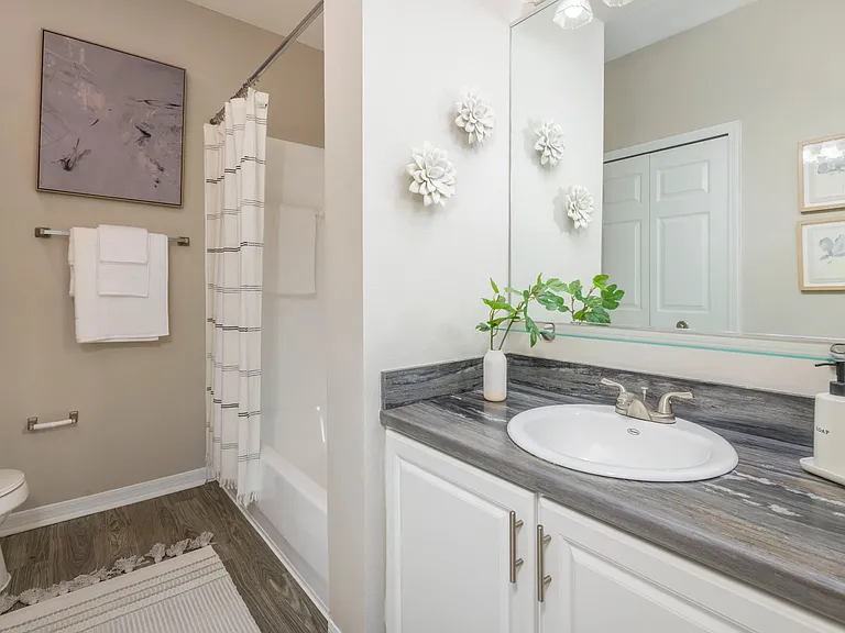 Step into a realm of opulence within the master bathroom, where grandeur reigns with its vast countertop space, a commanding oversized vanity, and abundant storage. This is where you, the true arbiter of luxury, indulge.