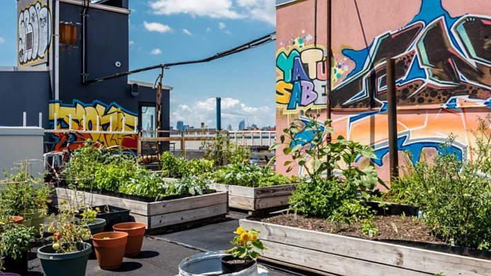 Rented by Nooklyn NYC LLC | media 94