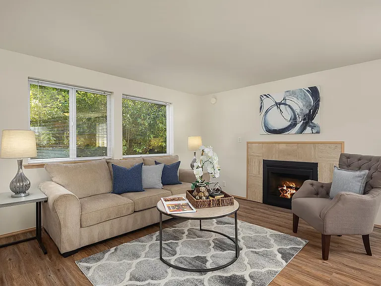 Gas fireplace.