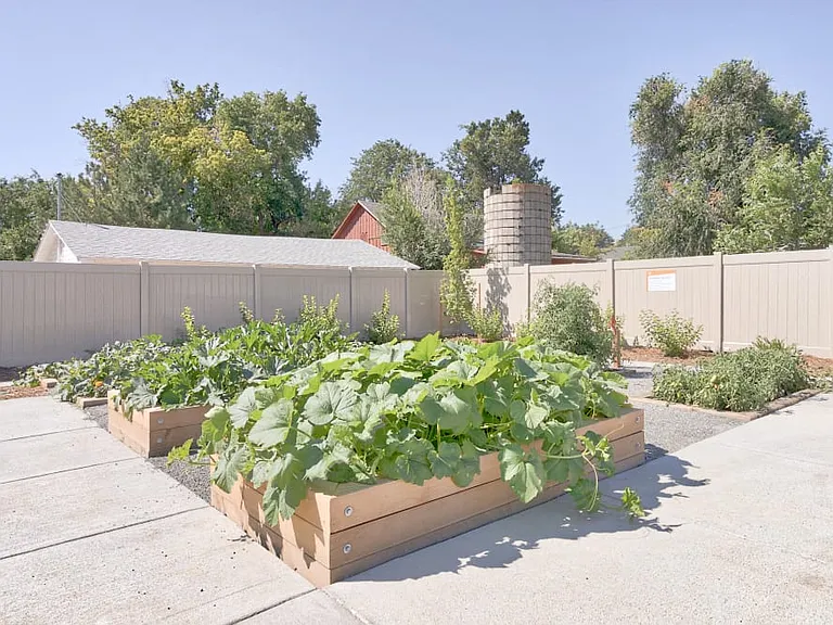 Fields on 15th — Photo 19