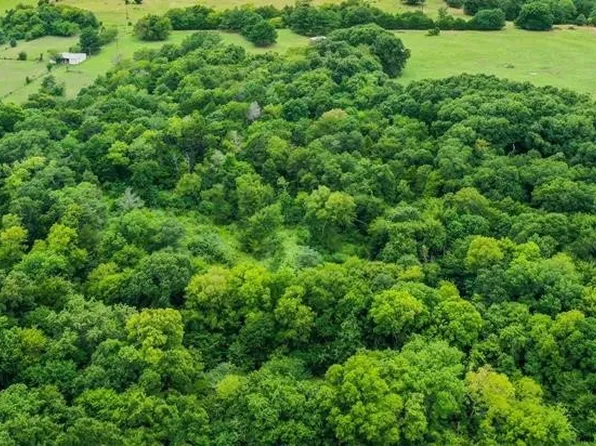 11932 Fm 1651, Canton, TX 75103