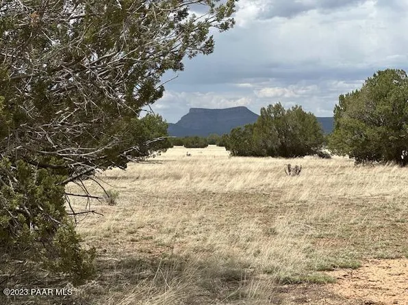 0 W Gadsden Flag Way, Seligman, AZ 86337