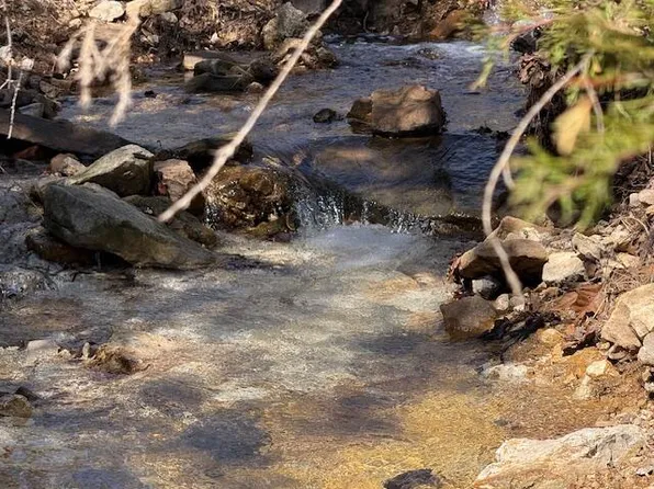 000 Barnum Tract G Drive, Cabool, MO 65689