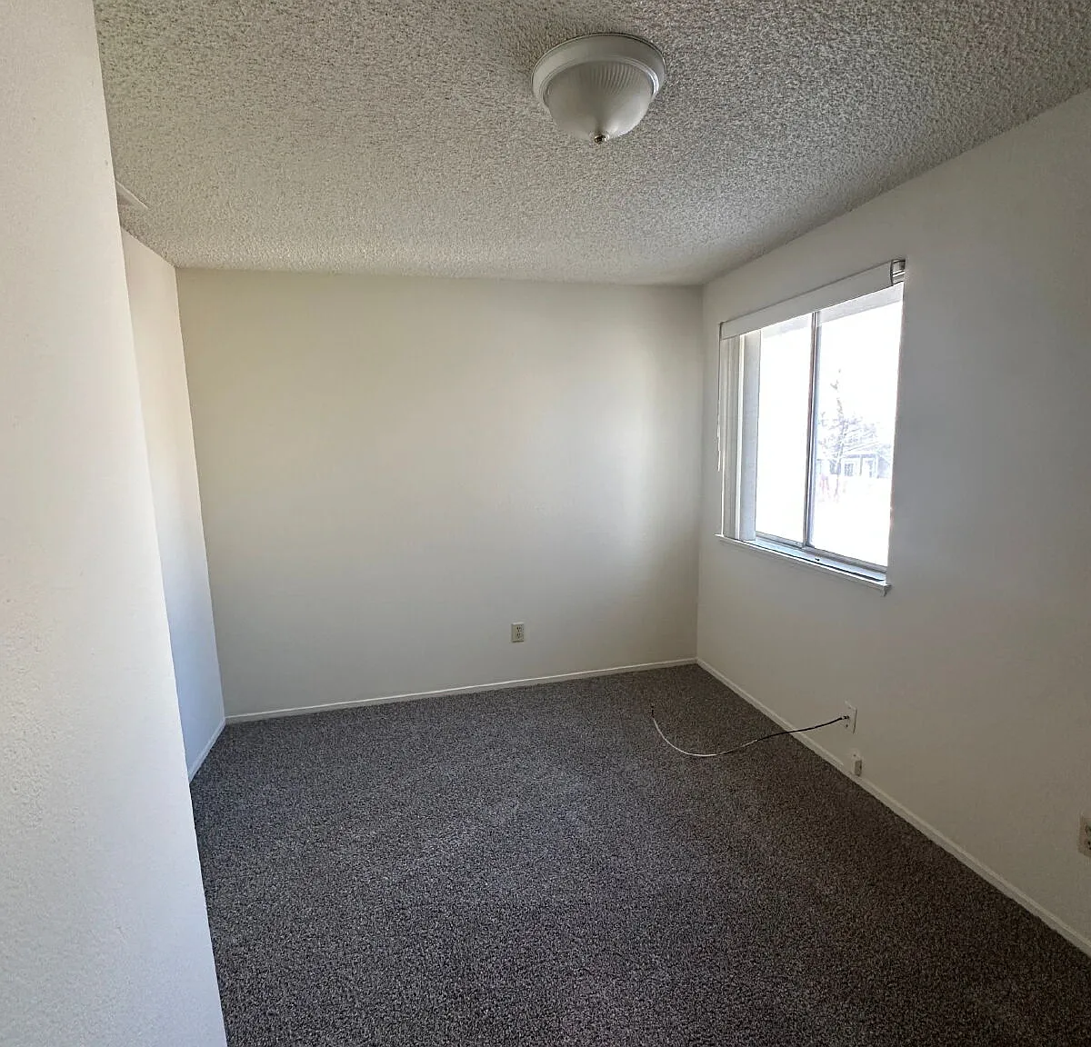 2 bed, 1.5 bath, 970 sqft, $1,600 — Photo 2