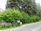 Residential Lots & Land