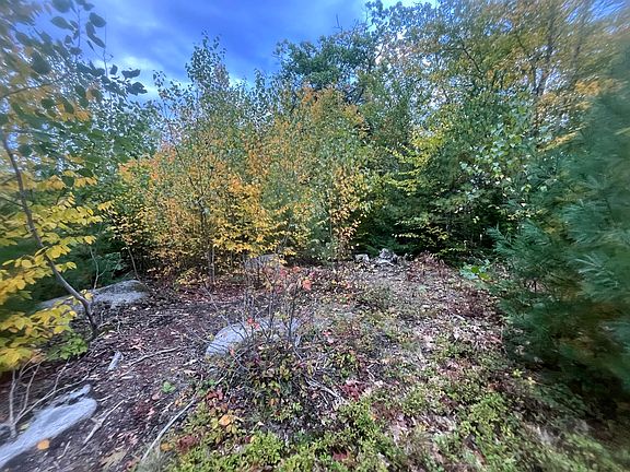 5th image of LOT 41 Turtle Trail